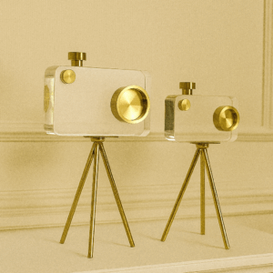 Gold Camera Antique