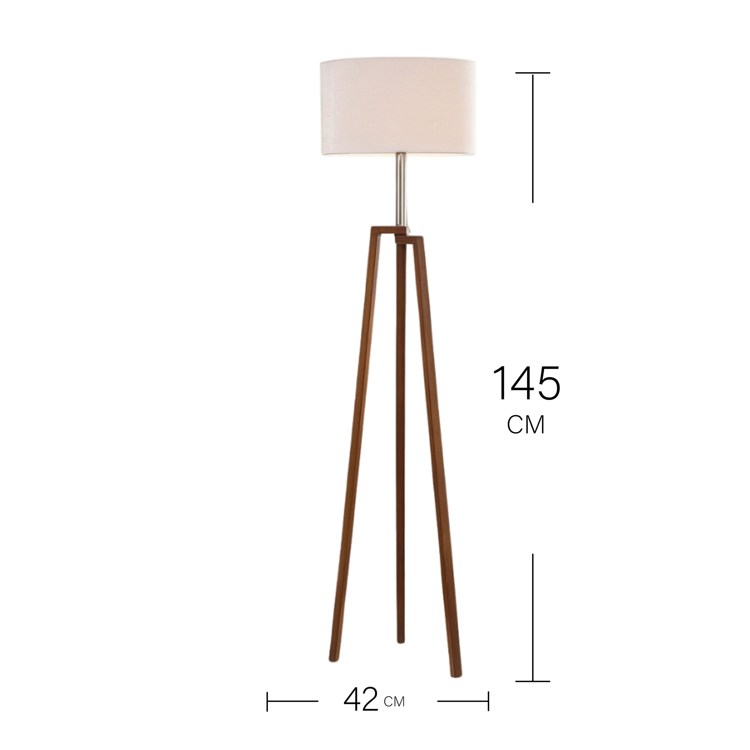 DAYMENTION Sty-11-11