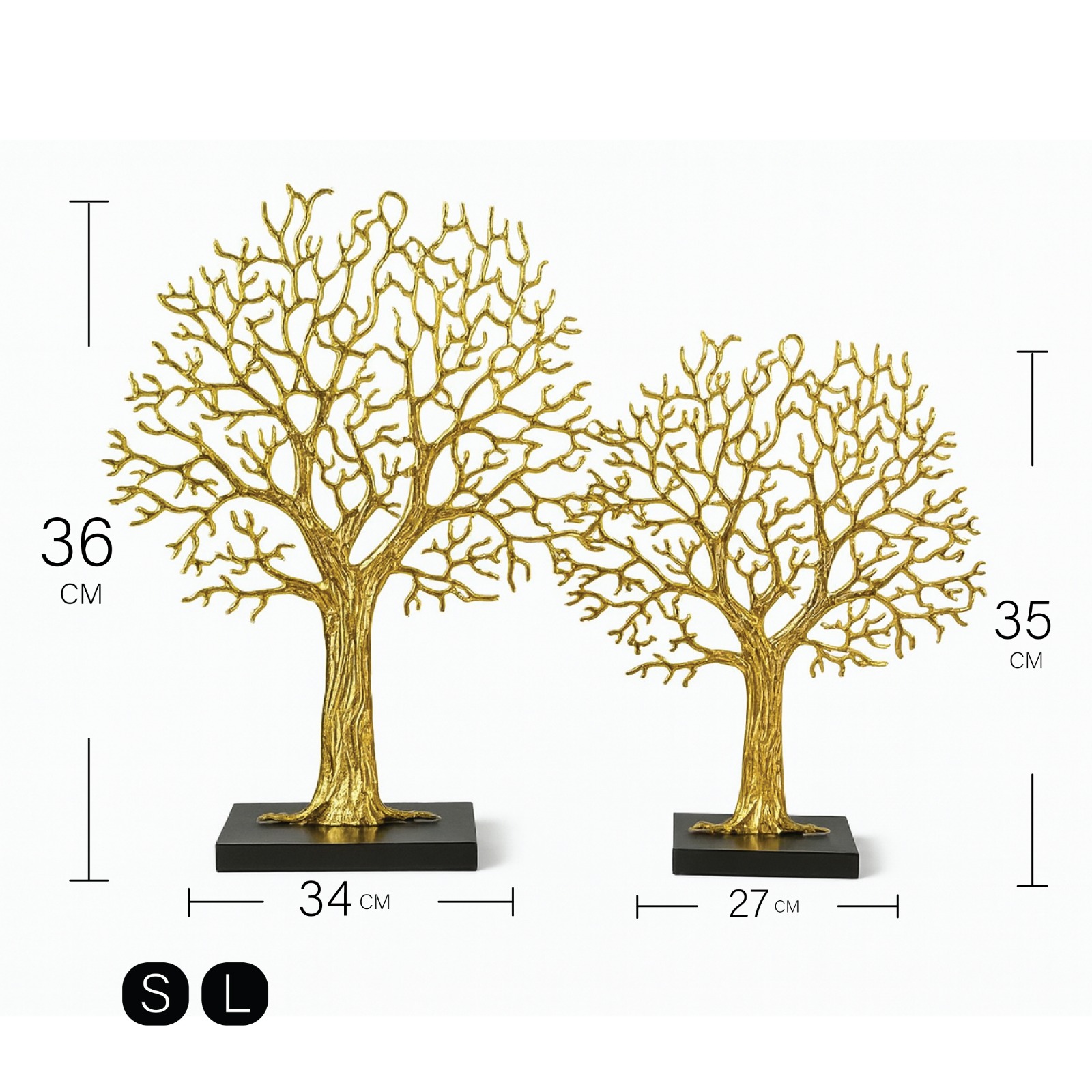 WhatsApp Image 2025-08-11 at 5.13.56 PM (1)